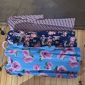 Honey and Lace Floral Dress Trio in Blue and Pink